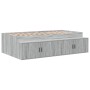 Estructura de Cama de Almacenamiento Gris Sonoma 100x200 cm | Foro24.es | Tu tienda online para hogar, jardín y más Foro24.es