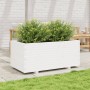 Jardinera madera maciza de pino blanco 110x60x49,5 cm en Macetas y jardineras | Comprar online en Foru.es