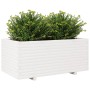 Jardinera madera maciza de pino blanco 110x60x49,5 cm en Macetas y jardineras | Comprar online en Foru.es