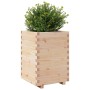 Jardinera madera maciza de pino 50x50x72,5 cm en Macetas y jardineras | Comprar online en Foru.es