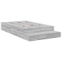 Estructura de Cama de Almacenamiento Gris Sonoma 120x190 cm | Foro24.es | Tu tienda online para hogar, jardín y más Foro24.es