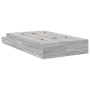 Estructura de Cama de Almacenamiento Gris Sonoma 120x190 cm | Foro24.es | Tu tienda online para hogar, jardín y más Foro24.es