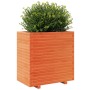 Jardinera madera maciza de pino marrón cera 70x40x72,5 cm en Macetas y jardineras | Comprar online en Foru.es