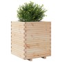 Jardinera madera maciza de pino 60x60x72 cm en Macetas y jardineras | Comprar online en Foru.es