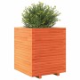 Jardinera exterior madera maciza pino marrón cera 60x60x72 cm en Macetas y jardineras | Comprar online en Foru.es