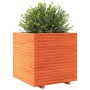 Jardinera madera maciza de pino marrón cera 70x70x72 cm en Macetas y jardineras | Comprar online en Foru.es