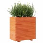 Jardinera madera maciza de pino marrón cera 70x40x72 cm en Macetas y jardineras | Comprar online en Foru.es