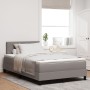Cama Box Spring con Colchón Taupe 120x200 cm Tela | Foro24.es | Tu tienda online para hogar, jardín y más Foro24.es