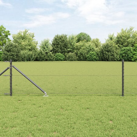 Valla Hexagonal Gris 0.6x50 m Acero,  Postes de Valla con Punta 13 pcs Ø32 mm 80 cm Acero Galvanizado | Foro24.es | Tu tienda online para hogar, jardín y más Foro24.es