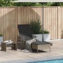 Tumbona Gris y gris oscuro Ratán PE 157 x 55 x 92 cm Tumbona | Foro24.es | Tu tienda online para hogar, jardín y más Foro24.es
