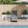 Tumbona Gris claro Ratán PE 157 x 55 x 92 cm Plegable Tumbona | Foro24.es | Tu tienda online para hogar, jardín y más Foro24.es