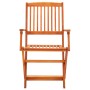 Set de comedor de jardín plegable 9 pzas madera eucalipto de vidaXL, Conjuntos de jardín - Ref: Foro24-3087156, Precio: 478,9...