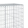 Cesta de gaviones con cubierta hierro galvanizado 300x50x200 cm en Macetas y jardineras | Comprar online en Foru.es
