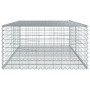 Cesta de gaviones con cubierta hierro galvanizado 200x100x50 cm en Macetas y jardineras | Comprar online en Foru.es