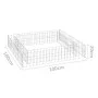 Arriate de gaviones de acero galvanizado 100x100x20 cm de vidaXL, Maceteros y jardineras - Ref: Foro24-151311, Precio: 36,01 ...