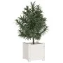 Jardinera de madera maciza de pino blanco 31x31x31 cm de vidaXL, Maceteros y jardineras - Ref: Foro24-810524, Precio: 20,92 €...