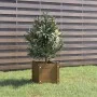 Jardinera de madera maciza de pino marrón 31x31x31 cm de vidaXL, Maceteros y jardineras - Ref: Foro24-810528, Precio: 28,25 €...