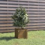 Jardinera de madera maciza de pino marrón 31x31x31 cm de vidaXL, Maceteros y jardineras - Ref: Foro24-810528, Precio: 28,63 €...