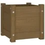 Jardinera de madera maciza de pino marrón 31x31x31 cm de vidaXL, Maceteros y jardineras - Ref: Foro24-810528, Precio: 28,25 €...