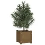 Jardinera de madera maciza de pino marrón 31x31x31 cm de vidaXL, Maceteros y jardineras - Ref: Foro24-810528, Precio: 28,25 €...