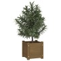 Jardinera de madera maciza de pino marrón 31x31x31 cm de vidaXL, Maceteros y jardineras - Ref: Foro24-810528, Precio: 28,63 €...