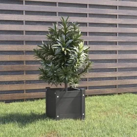 Jardinera de madera maciza de pino gris 31x31x31 cm de vidaXL, Maceteros y jardineras - Ref: Foro24-810526, Precio: 23,24 €, ...