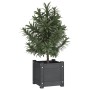 Jardinera de madera maciza de pino gris 31x31x31 cm de vidaXL, Maceteros y jardineras - Ref: Foro24-810526, Precio: 23,47 €, ...