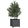 Jardinera de madera maciza de pino gris 31x31x31 cm de vidaXL, Maceteros y jardineras - Ref: Foro24-810526, Precio: 23,24 €, ...