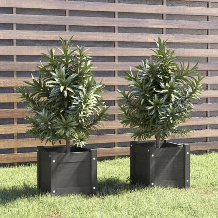 Jardineras 2 uds madera maciza de pino gris 31x31x31 cm de vidaXL, Maceteros y jardineras - Ref: Foro24-810527, Precio: 51,09...