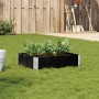 Jardinera de madera maciza de pino negro 80x60 cm en Macetas y jardineras | Comprar online en Foru.es