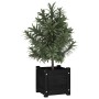 Jardineras 2 uds madera maciza de pino negra 31x31x31 cm de vidaXL, Maceteros y jardineras - Ref: Foro24-810531, Precio: 49,7...