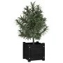 Jardineras 2 uds madera maciza de pino negra 31x31x31 cm de vidaXL, Maceteros y jardineras - Ref: Foro24-810531, Precio: 47,7...