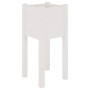 Jardinera de madera maciza de pino blanco 31x31x70 cm de vidaXL, Maceteros y jardineras - Ref: Foro24-810781, Precio: 24,61 €...