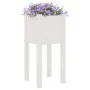 Jardinera de madera maciza de pino blanco 31x31x70 cm de vidaXL, Maceteros y jardineras - Ref: Foro24-810781, Precio: 24,61 €...
