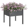 Jardineras 2 uds madera maciza de pino gris 70x70x70 cm de vidaXL, Maceteros y jardineras - Ref: Foro24-810814, Precio: 72,47...