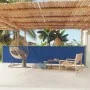 Toldo lateral retráctil de jardín azul 117x600 cm de vidaXL, Sombrillas - Ref: Foro24-317948, Precio: 88,69 €, Descuento: %