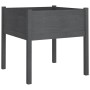 Jardinera de madera maciza de pino gris 70x70x70 cm de vidaXL, Maceteros y jardineras - Ref: Foro24-810813, Precio: 46,72 €, ...