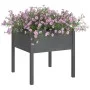 Jardinera de madera maciza de pino gris 70x70x70 cm de vidaXL, Maceteros y jardineras - Ref: Foro24-810813, Precio: 46,29 €, ...
