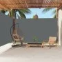 Toldo lateral retráctil antracita 220x600 cm de vidaXL, Sombrillas - Ref: Foro24-318014, Precio: 169,61 €, Descuento: %