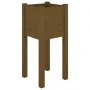 Jardinera de madera maciza de pino marrón miel 31x31x70 cm de vidaXL, Maceteros y jardineras - Ref: Foro24-810785, Precio: 24...