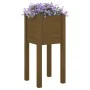 Jardinera de madera maciza de pino marrón miel 31x31x70 cm de vidaXL, Maceteros y jardineras - Ref: Foro24-810785, Precio: 24...