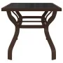 Mesa de jardín acero y vidrio marrón y negro 180x80x70 cm de vidaXL, Mesas de jardín - Ref: Foro24-318773, Precio: 230,73 €, ...