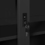 Armario de puerta corrediza con macetero gris antracita acero de vidaXL, Taquillas y armarios de almacenamiento - Ref: Foro24...