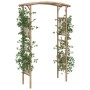 Arco para rosas de bambú 118x40x187 cm de vidaXL, Pérgolas, arcos y enrejados de jardín - Ref: Foro24-341746, Precio: 146,85 ...