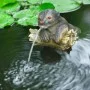 Ubbink Fuente de jardín con chorro y en forma de nutria de Ubbink, Fuentes y cascadas - Ref: Foro24-442057, Precio: 47,58 €, ...