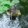 Ubbink Fuente de jardín con chorro y en forma de nutria de Ubbink, Fuentes y cascadas - Ref: Foro24-442057, Precio: 47,58 €, ...