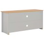 Mueble de TV gris 120x39x58 cm en Muebles TV | Comprar online en Foru.es