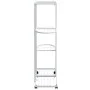 Soporte para flores 4 alturas y ruedas hierro blanco 44x23x80cm de vidaXL, Soportes para macetas - Ref: Foro24-343116, Precio...