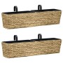 Conjunto de jardineras 2 unidades jacinto de agua de vidaXL, Maceteros y jardineras - Ref: Foro24-45580, Precio: 112,11 €, De...