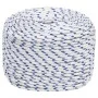 Cuerda de barco polipropileno blanco 10 mm 25 m de vidaXL, Sogas y cuerdas metálicas - Ref: Foro24-152294, Precio: 16,13 €, D...